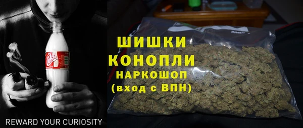 стаф Володарск