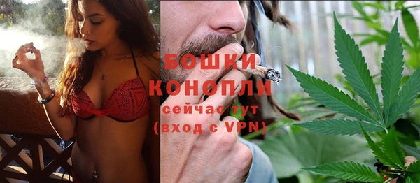 стаф Володарск
