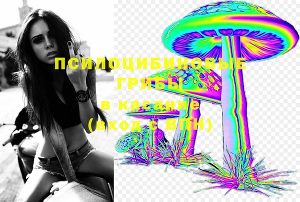 скорость Медвежьегорск