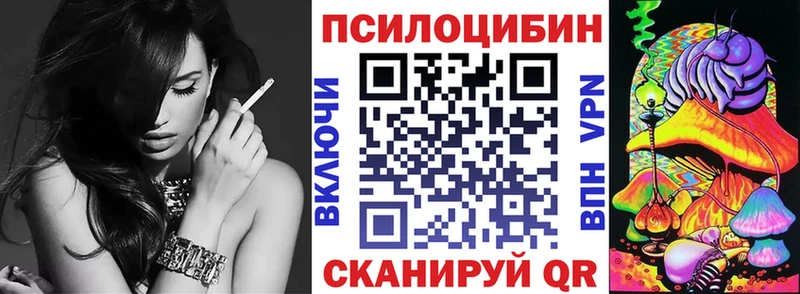Галлюциногенные грибы Psilocybe  Гдов 