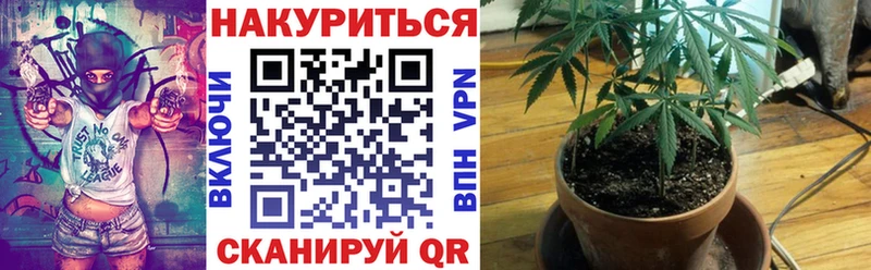 Бошки Шишки семена  Гдов 